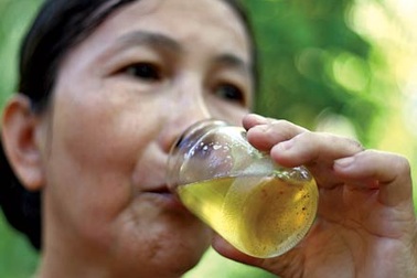 Dầu dừa không là thần dược