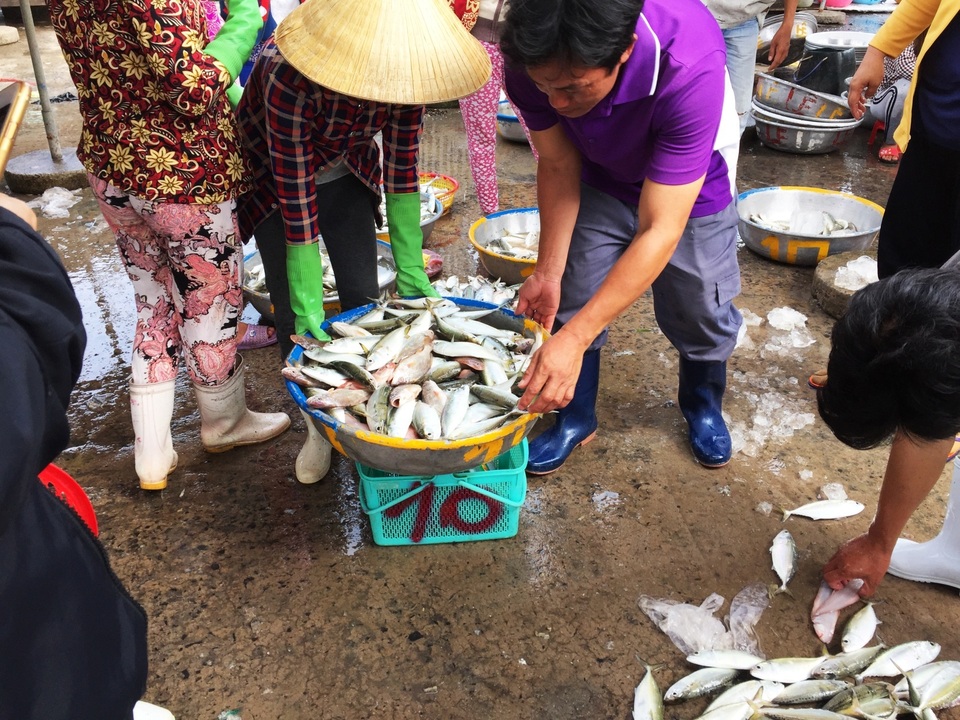 Nhộn nhịp chợ cá Phước Hải - Bà Rịa - 6 Nhộn nhịp chợ cá Phước Hải - Bà Rịa - 6