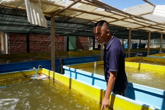 Ngư dân thất thần sau bão Kalmaegi: Trắng tay rồi, tan nát hết!