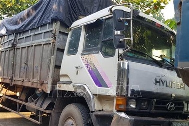 Bỏ trốn khi bị phát hiện đổ trộm rác thải, tài xế bị rắn độc cắn