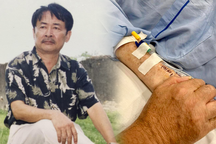 Hai Nhất "Biệt động Sài Gòn" qua cơn nguy kịch sau khi bị đột quỵ tuổi 75