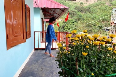 Rừng xanh, mái ngói đỏ, cuộc sống dần hồi sinh ở vùng sạt lở