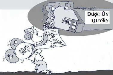 Bán đất, mất nhà vì giấy tờ giả