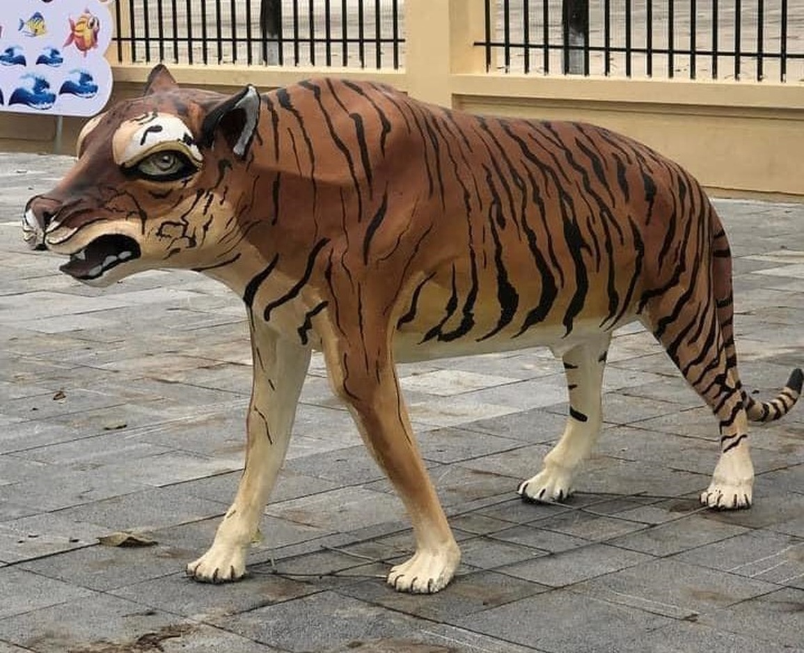 Bình chọn hoa hậu hổ hài hước: Hổ ngờ nghệch và hổ linh cẩu tranh ngôi - 5 Bình chọn hoa hậu hổ hài hước: Hổ ngờ nghệch và hổ linh cẩu tranh ngôi - 5