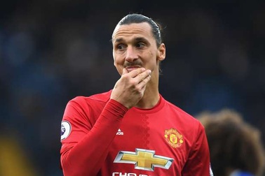 Ibrahimovic: “Tôi cảm thấy mình như con thú”