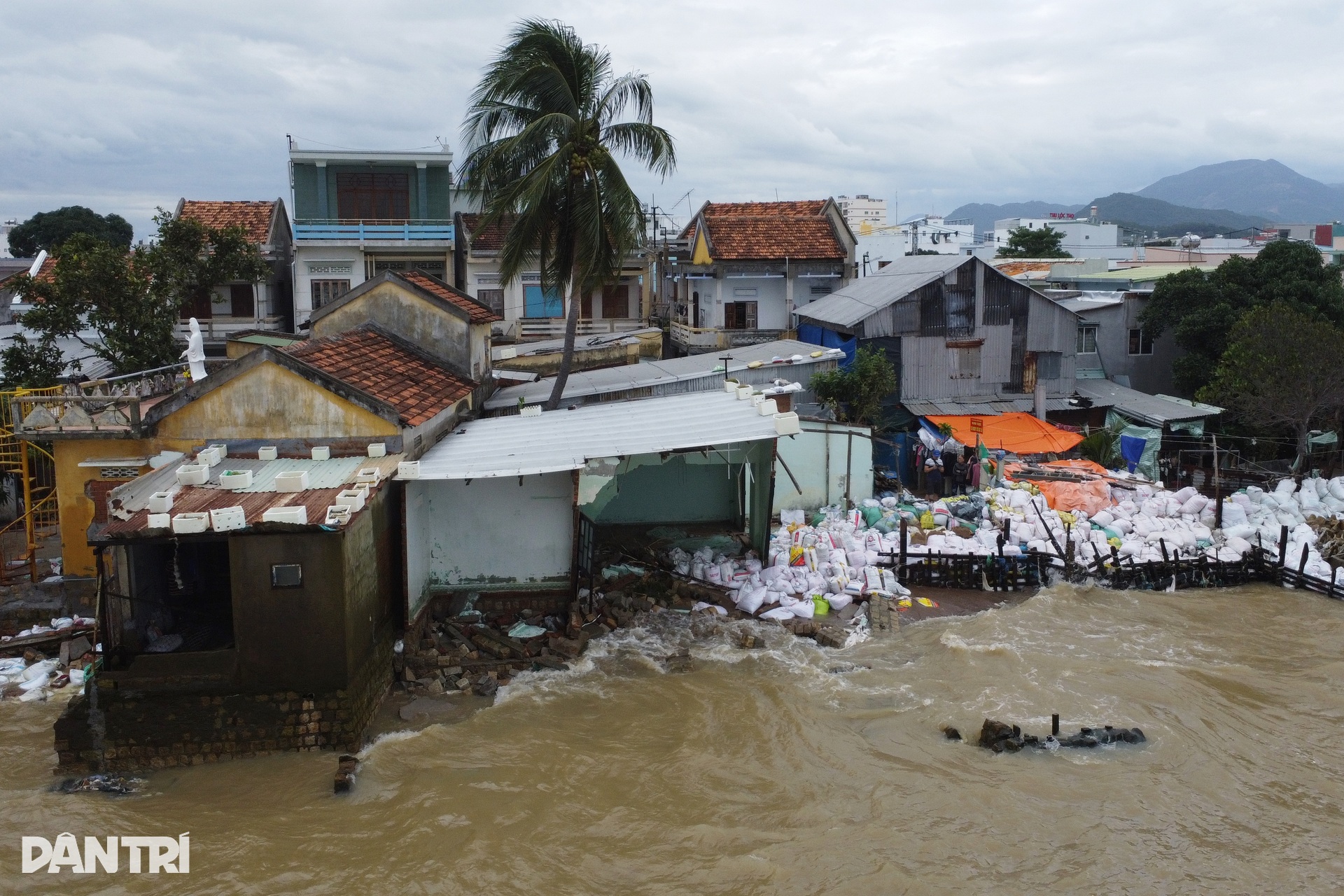Người dân bên cồn khổ sở vì mỗi năm hàng chục triệu đồng đổ xuống sông - 3 Người dân bên cồn khổ sở vì mỗi năm hàng chục triệu đồng đổ xuống sông - 3