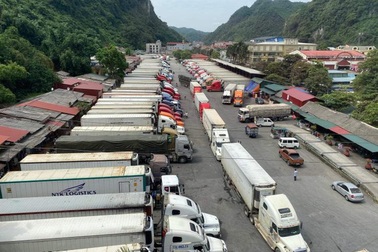 Bộ Nông nghiệp đề nghị tạm dừng đưa hoa quả lên cửa khẩu Lạng Sơn