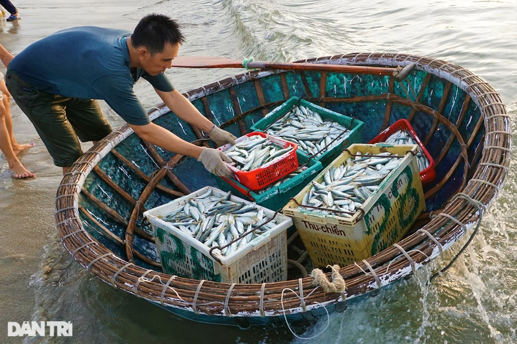 Phiên chợ lúc rạng đông, chỉ bán cá nục tươi - 6 Phiên chợ lúc rạng đông, chỉ bán cá nục tươi - 6