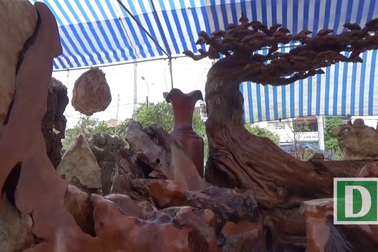 Cận cảnh bộ bàn ghế nghìn năm tuổi ở Hà Nội