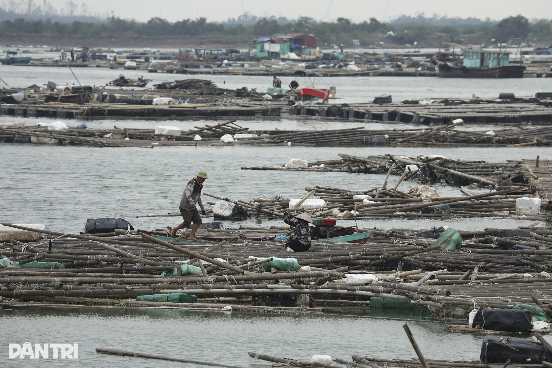 Hậu bão Yagi: Bãi rác khổng lồ lênh đênh trên vịnh Hạ Long - 3 Hậu bão Yagi: Bãi rác khổng lồ lênh đênh trên vịnh Hạ Long - 3
