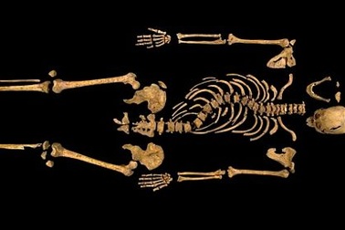 Hài cốt của vua Anh “lưng gù”