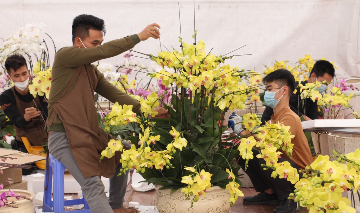 Vượt 300km xuống Thủ đô cắm hoa lan vụ Tết, bỏ túi tiền triệu mỗi ngày - 3 Vượt 300km xuống Thủ đô cắm hoa lan vụ Tết, bỏ túi tiền triệu mỗi ngày - 3