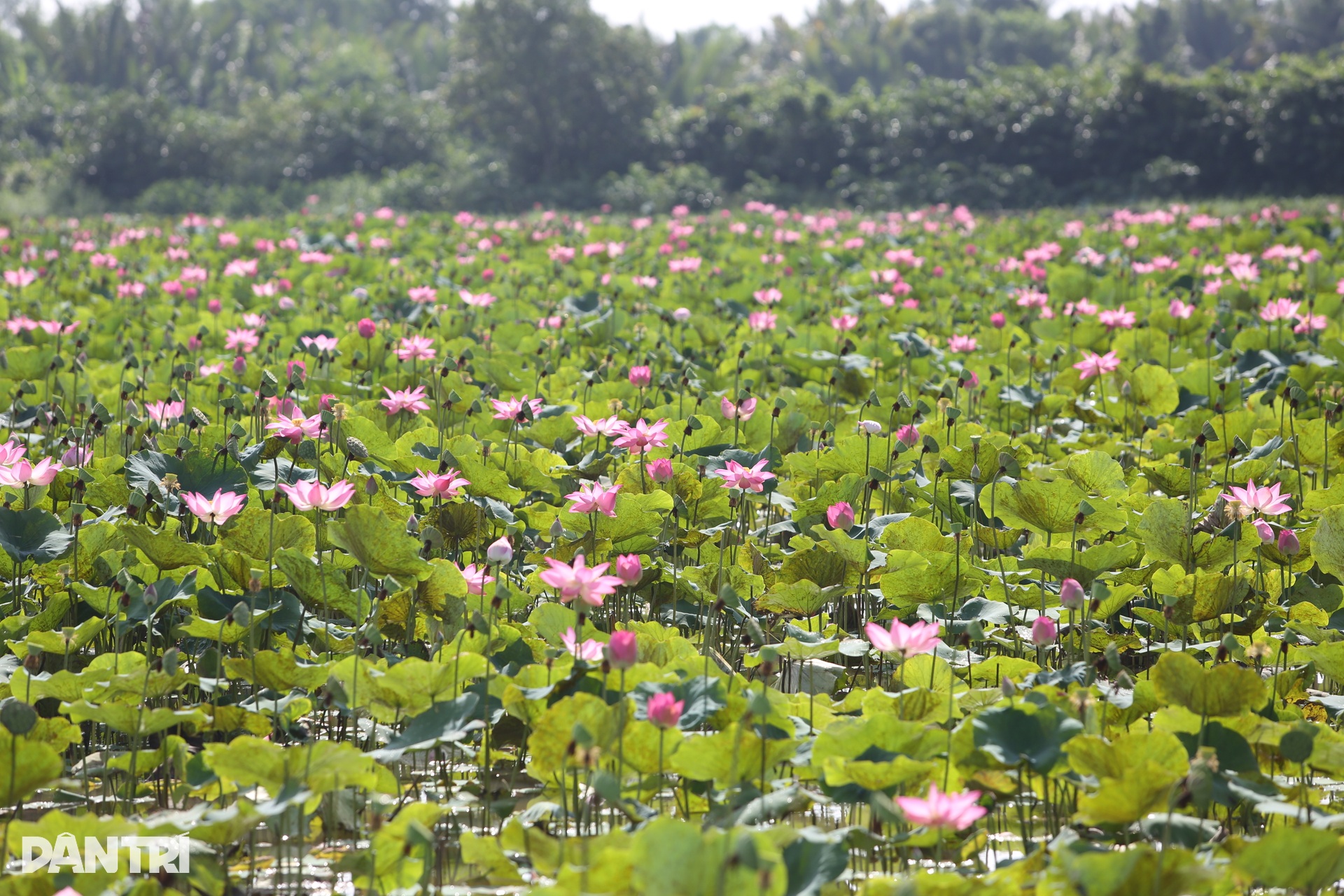 Cận cảnh siêu dự án khiến nhiều cựu lãnh đạo tỉnh Đồng Nai bị khởi tố - 13