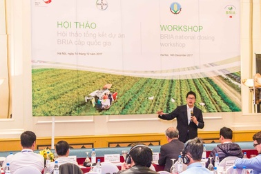 BRIA góp phần đẩy mạnh sản xuất lúa gạo tại Việt Nam
