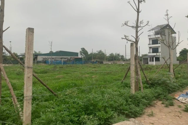 4 điều cần làm để tránh bị lừa khi mua nhà đất