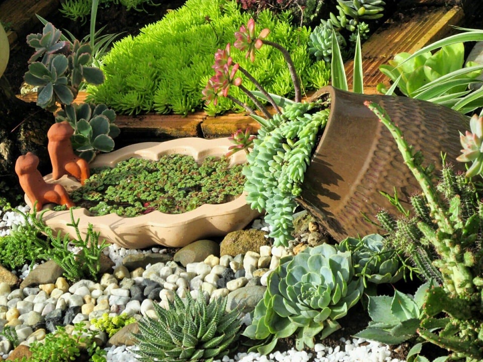 Độc đáo khu vườn ve chai của chị gái Lâm Đồng - 13 Độc đáo khu vườn ve chai của chị gái Lâm Đồng - 13