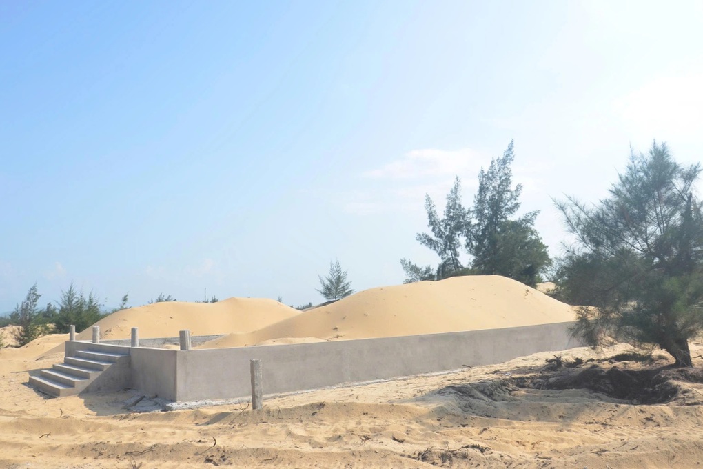 Hiện tượng lạ ở khu rừng phòng hộ ven biển: Do buông lỏng quản lý - 2 Hiện tượng lạ ở khu rừng phòng hộ ven biển: Do buông lỏng quản lý - 2