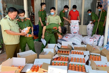 Công an An Giang bắt khối lượng lớn hàng nghi lậu