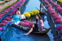 Sắc Xuân ngập tràn cuộc thi ảnh báo Dân trí