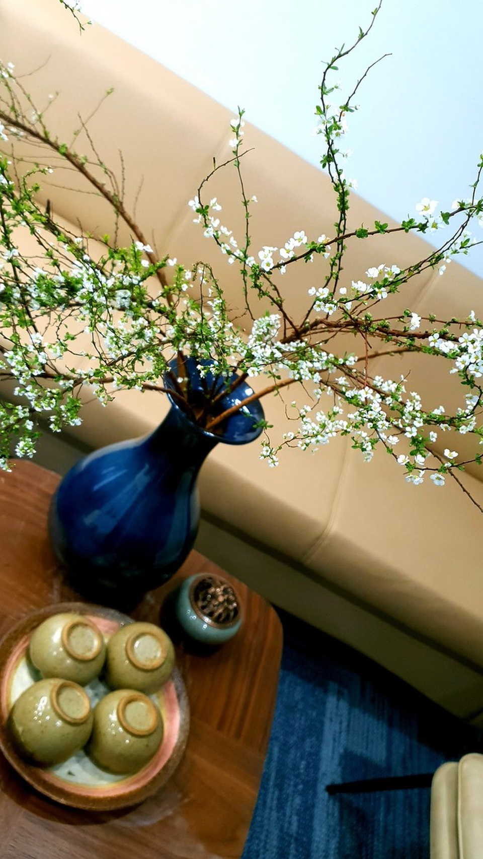 Hoa lạ từ Trung Quốc hút khách hàng chơi trước Tết cả tháng - 2 Hoa lạ từ Trung Quốc hút khách hàng chơi trước Tết cả tháng - 2