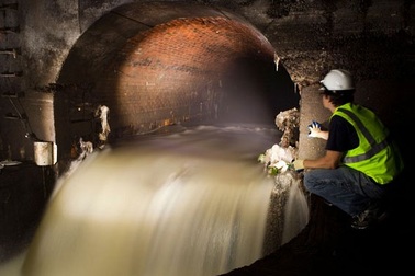 Sản xuất bia từ…nước thải