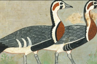 Tranh Ai Cập 4.600 năm tiết lộ loài ngỗng chưa từng được biết