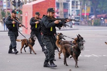 Hải Phòng xây dựng công an tinh nhuệ, hiện đại, đáp ứng yêu cầu mới