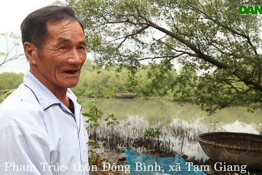 Khám phá rừng ngập mặn nguyên sinh Tam Giang