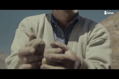 Clip viral giản dị nhưng chạm đến trái tim