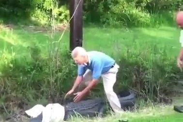 Cụ ông liều lĩnh dùng tay không bắt cá sấu suýt phải trả giá đắt