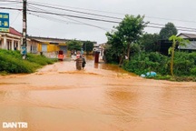 Chủ tịch xã tử nạn khi điều tiết giao thông trên quốc lộ