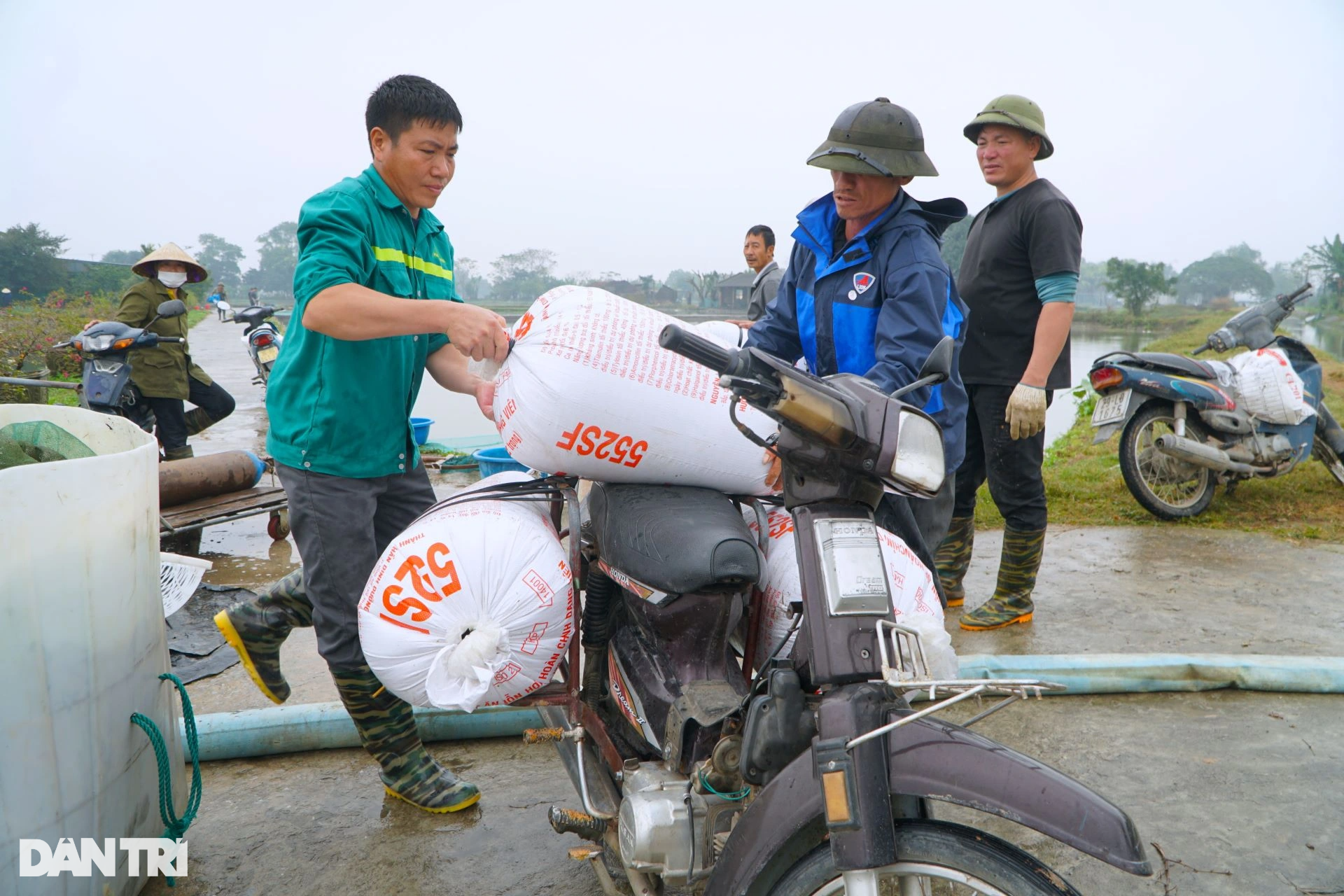 Mẻ lưới trăm triệu tại nơi sản xuất phương tiện tiễn ông Công, ông Táo - 11 Mẻ lưới trăm triệu tại nơi sản xuất phương tiện tiễn ông Công, ông Táo - 11
