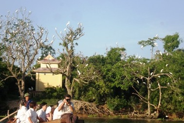 Dùng súng để... đột nhập đảo cò săn chim quý