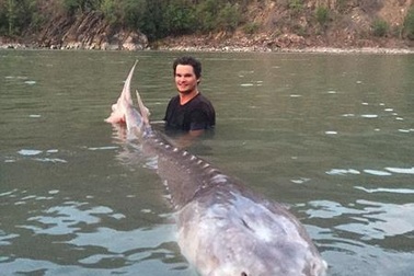 Phát hiện “quái vật” sông Fraser