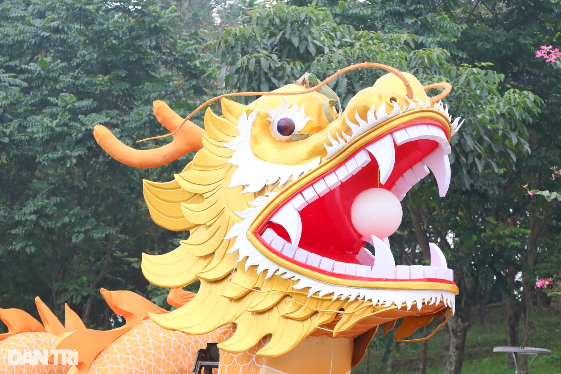 Linh vật rồng Nghệ An vừa trình làng, nhận vô số lời khen - 3 Linh vật rồng Nghệ An vừa trình làng, nhận vô số lời khen - 3