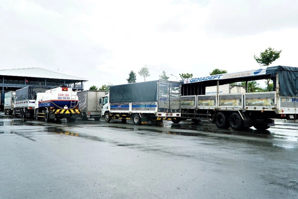 Tài xế xếp hàng dài đội mưa chờ xuống hàng, sang xe - 5 Tài xế xếp hàng dài đội mưa chờ xuống hàng, sang xe - 5