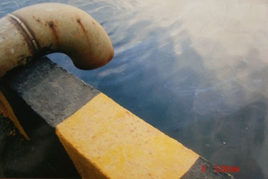 Vedan chỉ hỗ trợ cho nông dân Đồng Nai 15 tỉ đồng