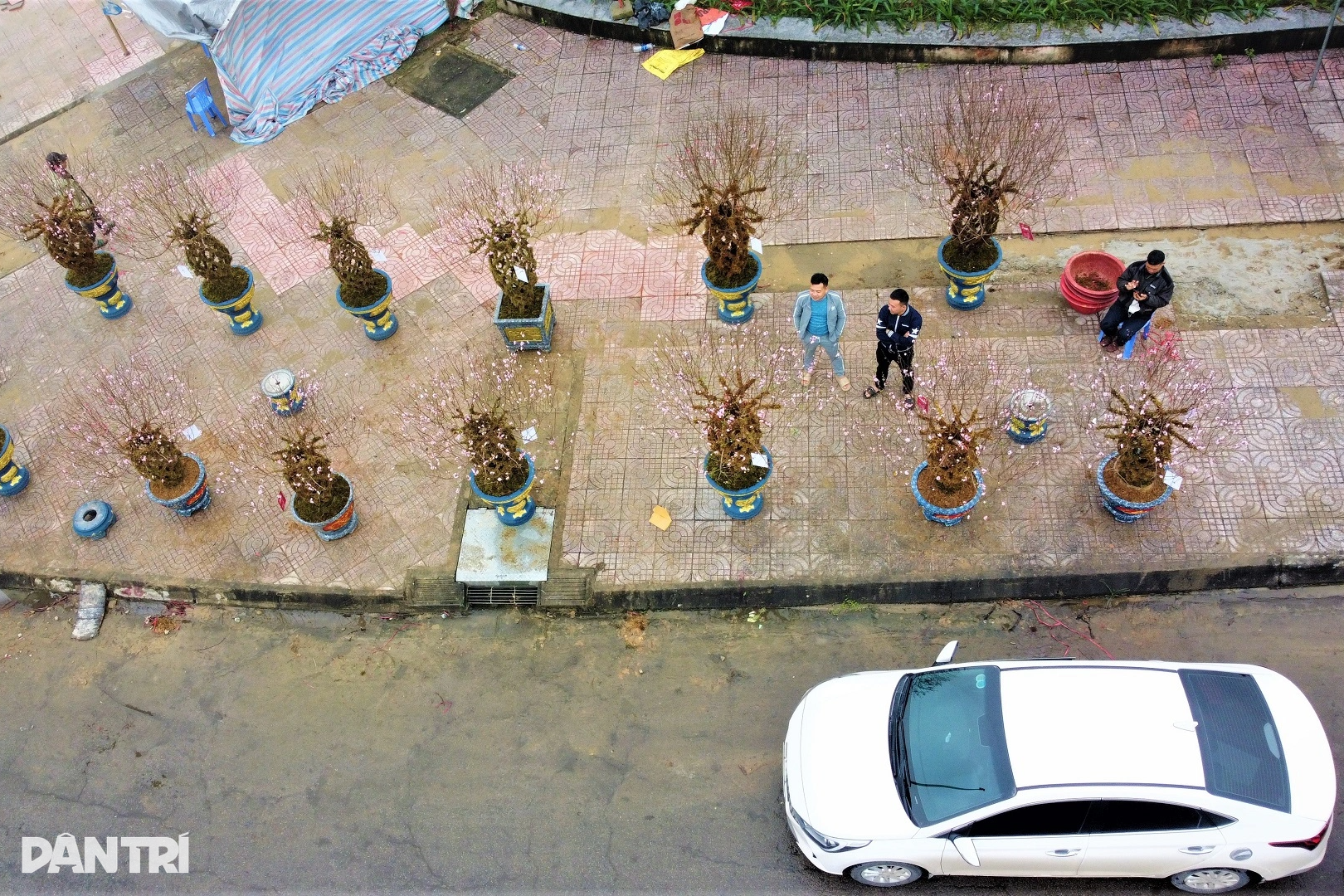 Unikátní váza s broskvovým květem v ceně přibližně 10 milionů VND byla uvedena na trh pro Tet Giap Thin 2024 - 1 Đào lộc bình độc lạ giá trên dưới 10 triệu đồng ra mắt Tết Giáp Thìn 2024 - 1