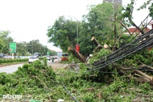 Lượng rác thải "khổng lồ" sau bão Kajiki