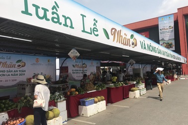 Vải Lục Ngạn, nhãn Sơn La vượt xa vải thiều Thanh Hà, nhãn lồng Hưng Yên?