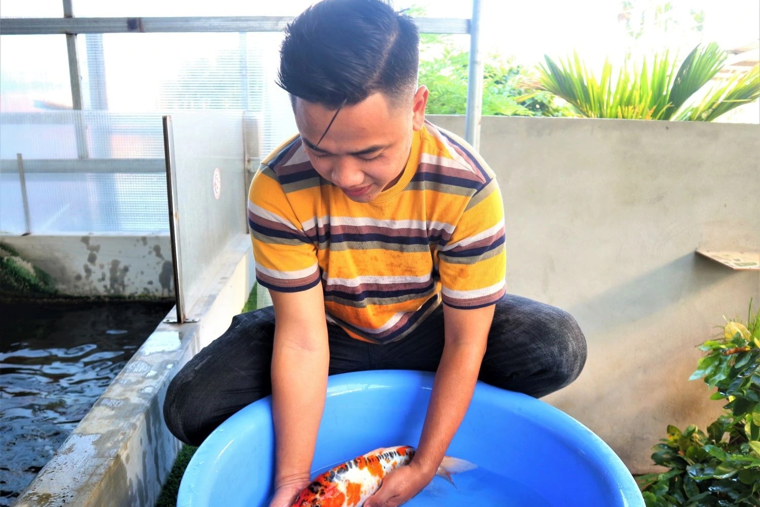 9X khởi nghiệp từ cá quý tộc, thu hàng trăm triệu đồng mỗi năm - 4