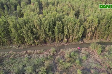 Vẻ đẹp mê hoặc của khu bảo tồn đất ngập nước lớn nhất châu thổ sông Hồng