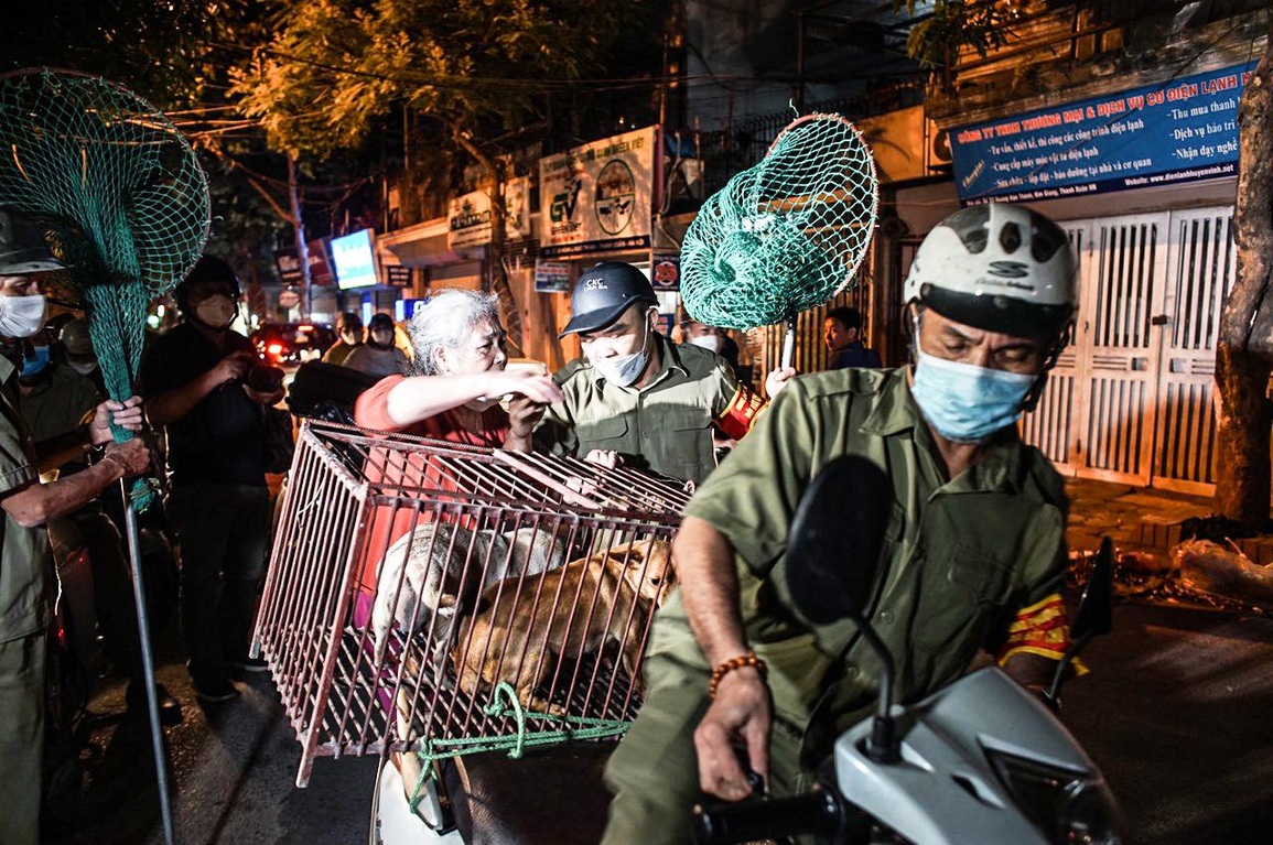 Cận cảnh một buổi làm việc của tổ săn bắt chó thả rông ở Hà Nội - 10 Cận cảnh một buổi làm việc của tổ săn bắt chó thả rông ở Hà Nội - 10