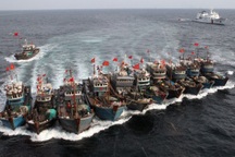 Ngư dân Hàn Quốc "tố" hàng trăm tàu cá của Trung Quốc vét sạch mọi thứ