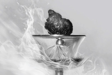 Tạm hoãn chiêm bái xá lợi Trái tim Bồ tát Thích Quảng Đức