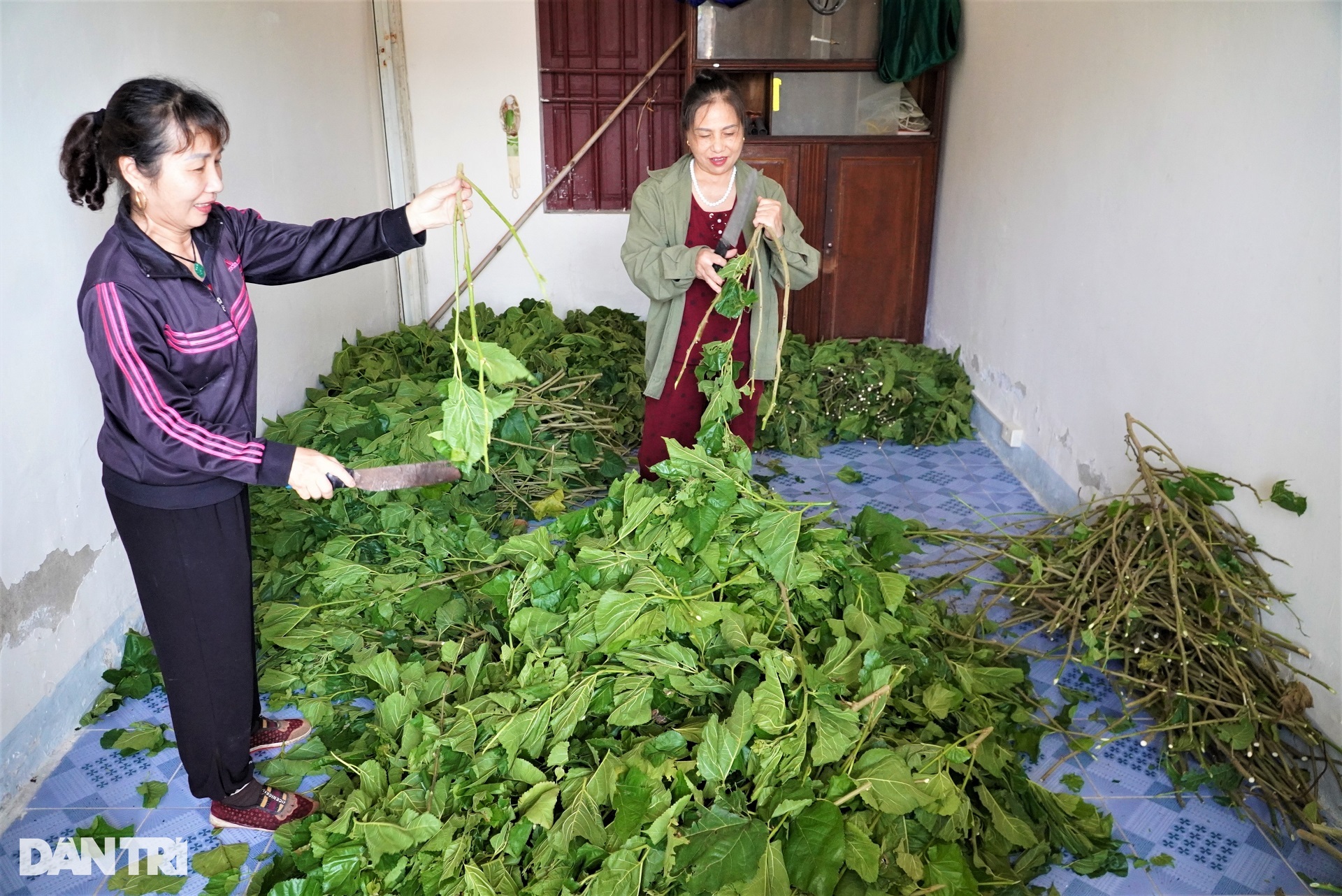 Đưa loại vật nuôi khó chiều vào phòng điều hòa, thu nửa tỷ đồng mỗi năm - 12 Đưa loại vật nuôi khó chiều vào phòng điều hòa, thu nửa tỷ đồng mỗi năm - 12