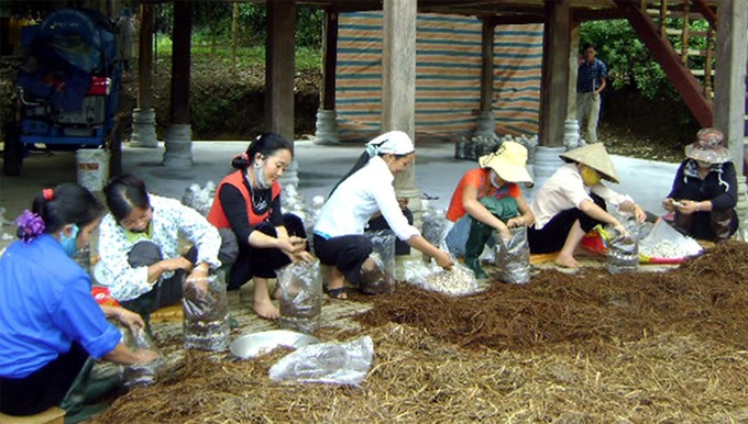 Nam Định: 10 năm đào tạo nghề cho trên 23 ngàn lao động nông thôn
 - Ảnh 1.