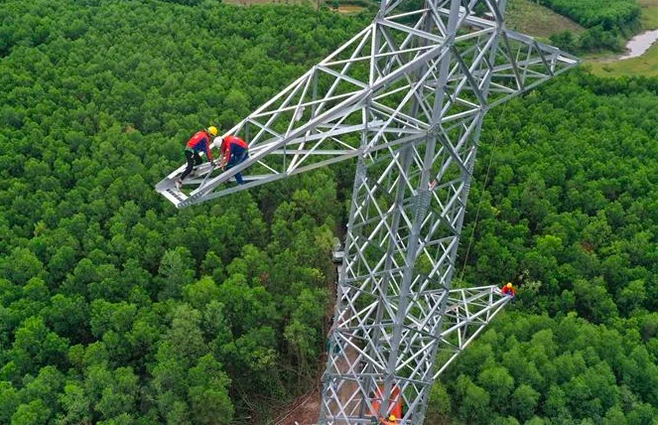 Đề xuất tạm sử dụng rừng phục vụ thi công các dự án điện - 1