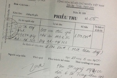 “Om” tài sản trúng đấu giá 10 năm: Tại sao chưa khởi tố vụ án huỷ hoại tài sản?