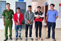 24 giờ truy tìm kẻ trộm hơn 270 gốc sâm Ngọc Linh